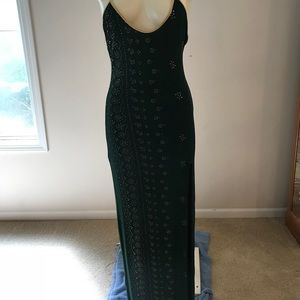 Delicate Illusions long gown NWOT